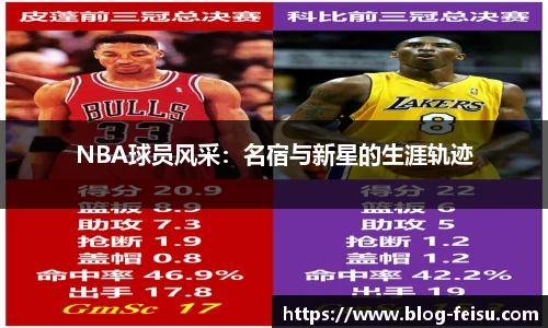 NBA球员风采：名宿与新星的生涯轨迹