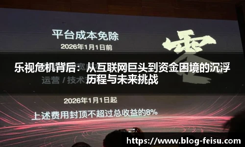 乐视危机背后：从互联网巨头到资金困境的沉浮历程与未来挑战