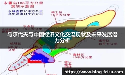 马尔代夫与中国经济文化交流现状及未来发展潜力分析