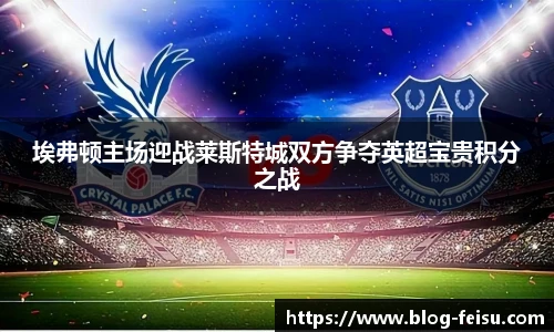 埃弗顿主场迎战莱斯特城双方争夺英超宝贵积分之战