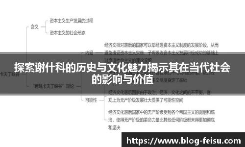 探索谢什科的历史与文化魅力揭示其在当代社会的影响与价值
