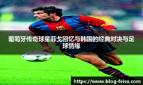 飞速体育直播